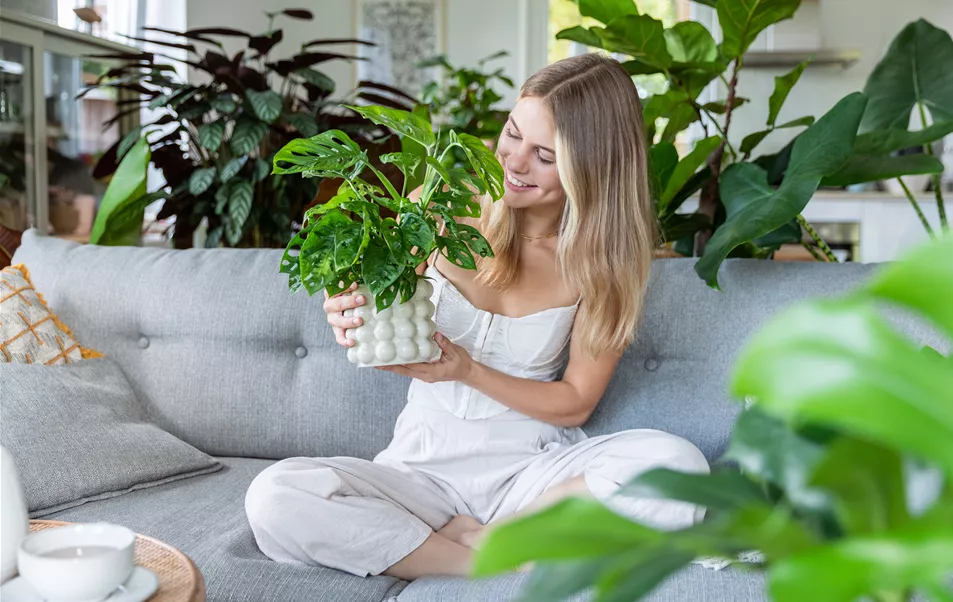 Jungle Ambiente - Frau mit Monstera adansonii Jungle Ambiente - Frau mit Monstera adansonii