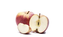Halbstamm wurzelnackt Apfel 'Boskoop'