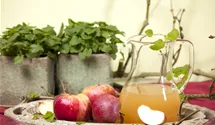 Halbstamm wurzelnackt Apfel 'Boskoop'