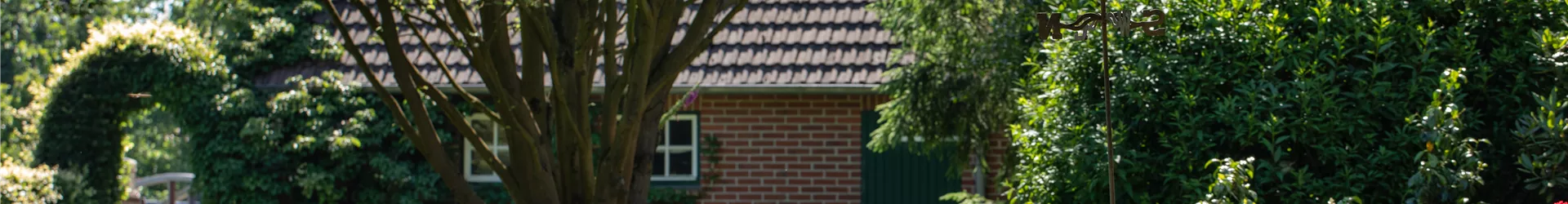 Garten Garten