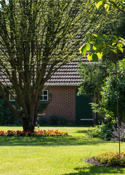 Beratungstag effektive Mikroorganismen (EM)