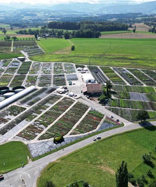Junior Produktionsleiter:in gesucht