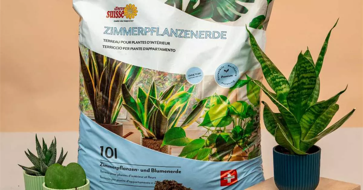 compo rasendünger mit unkrautvernichter 25kg COMPO EXPERT Rasen Floranid® mit Unkrautvernichter – Düngerprofi24 main image 0