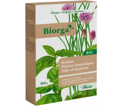Plantes aromatiques Plantes aromatiques