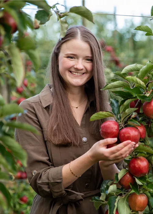 Obstausstellung mit Degustation Obstausstellung mit Degustation