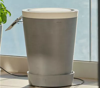 Boum 3 Steuerung & Wassertank  Boum 3 Steuerung & Wassertank