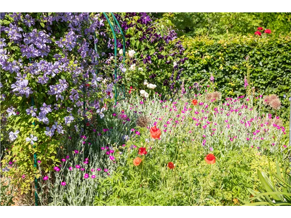 Gärtner:in gesucht - Baumschule & Stauden