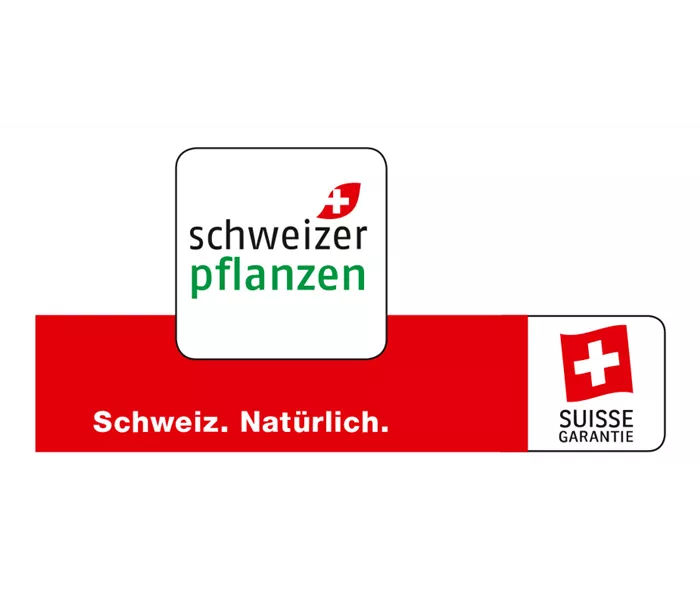 Schweizer_Pflanzen.jpg