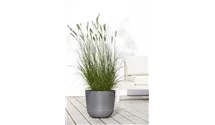 Ecopots Oslo grey
