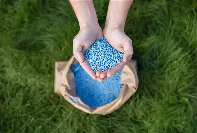 Dünger - Blaukorn Dünger - Blaukorn