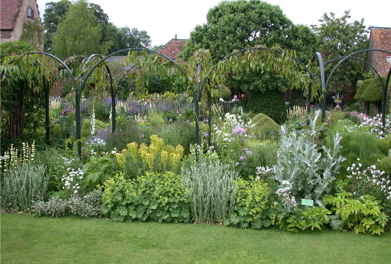 Gartengestaltung mit Kletterpflanzen Gartengestaltung mit Kletterpflanzen