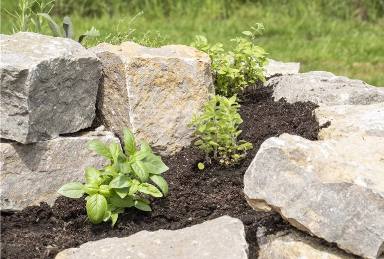 Kräuterspirale Kräuterspirale