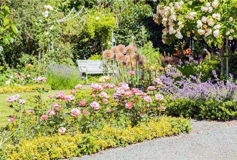 Rosengarten Rosengarten