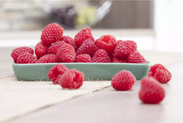 Rubus idaeus Rubus idaeus