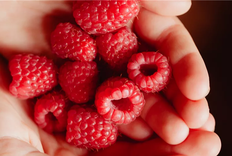 Himbeeren in Kinderhänden Himbeeren in Kinderhänden