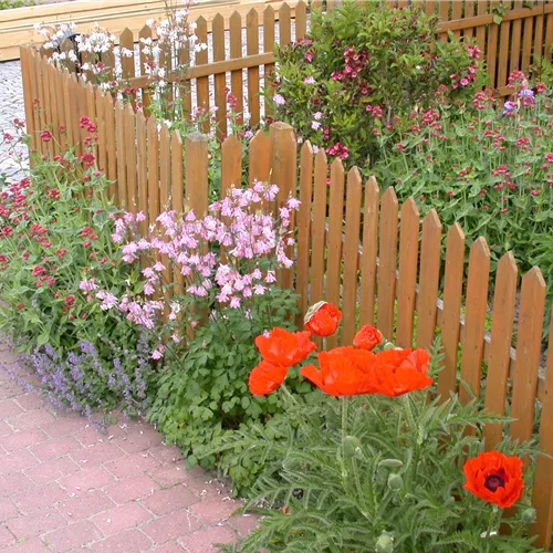 Schick eingerahmt - Die grosse Vielfalt der Gartenzäune Schick eingerahmt - Die grosse Vielfalt der Gartenzäune