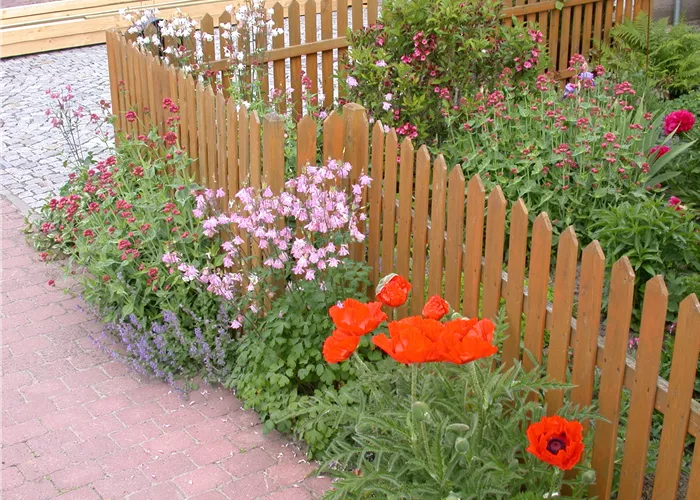 Schick eingerahmt - Die grosse Vielfalt der Gartenzäune Schick eingerahmt - Die grosse Vielfalt der Gartenzäune