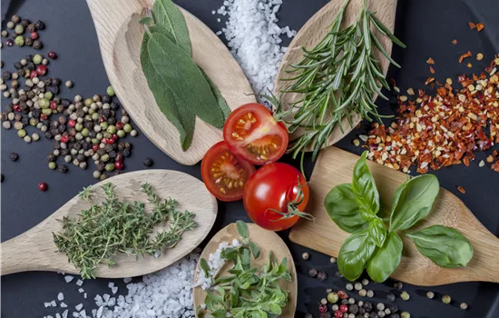 Küchenkräuter schmecken frisch von der Fensterbank am besten Küchenkräuter schmecken frisch von der Fensterbank am besten