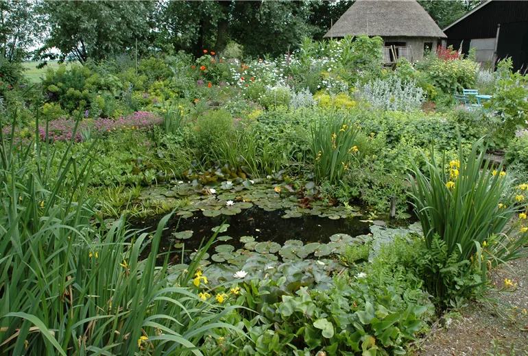 Gartenteich mit Seerosen Gartenteich mit Seerosen