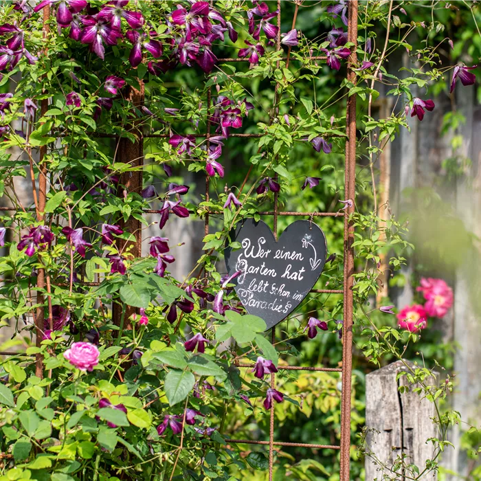 Conseil et planification de jardin