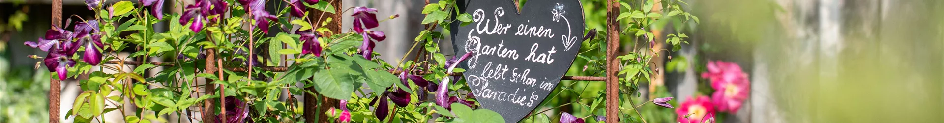 Gartenimpression - Kletterhilfe Gartenimpression - Kletterhilfe