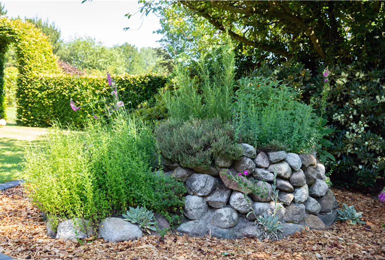 Kräuterspirale Kräuterspirale