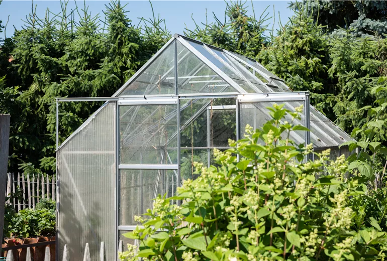 Gewächshaus Gewächshaus
