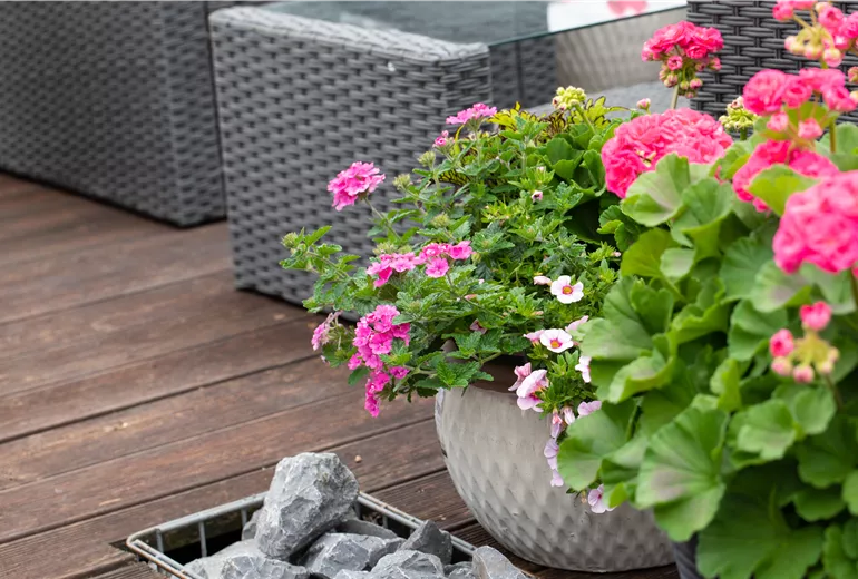 Blumenkübel mit Geranien