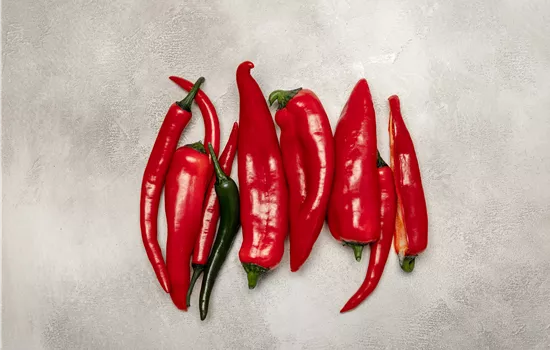Paprika selber anbauen – Tipps für Anzucht und Ernte Paprika selber anbauen – Tipps für Anzucht und Ernte