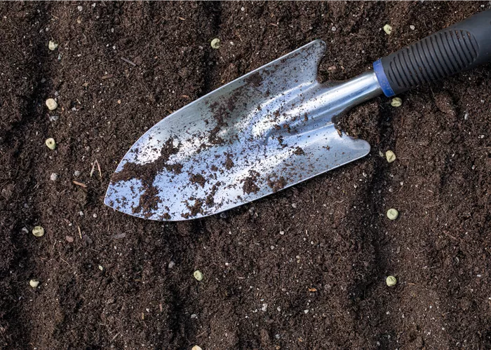 Mit dem passenden Saatgut für das Gewächshaus Gemüse anbauen