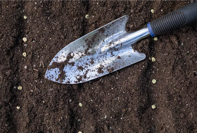 Aussaat - Schaufel in Erde