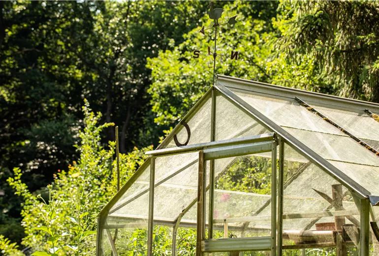 Gewächshaus