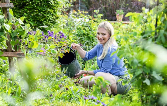 Gartenarbeit im Sommer – Damit’s nicht zu heiss wird! Gartenarbeit im Sommer – Damit’s nicht zu heiss wird!