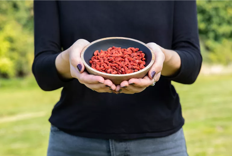 Goji-Beeren
