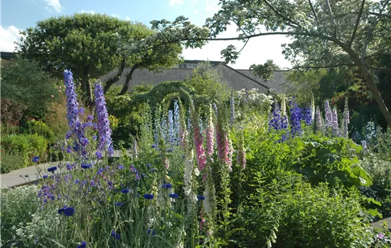 Jetzt ist es wieder soweit: Die Gartengestaltung mit Stauden Jetzt ist es wieder soweit: Die Gartengestaltung mit Stauden