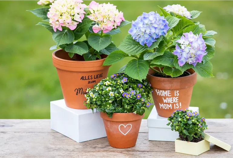 Muttertag - Bepflanzte Töpfe mit Aufschrift