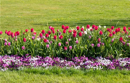Wie ein pflegeleichter Garten gestaltet wird Wie ein pflegeleichter Garten gestaltet wird