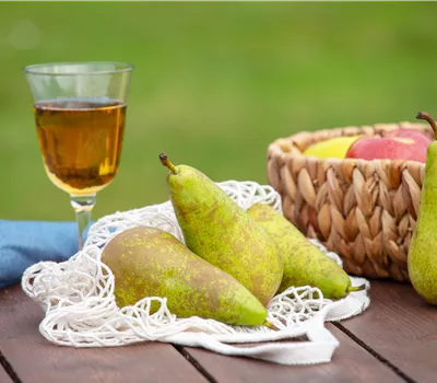 Birnen aus dem eigenen Garten geniessen Birnen aus dem eigenen Garten geniessen