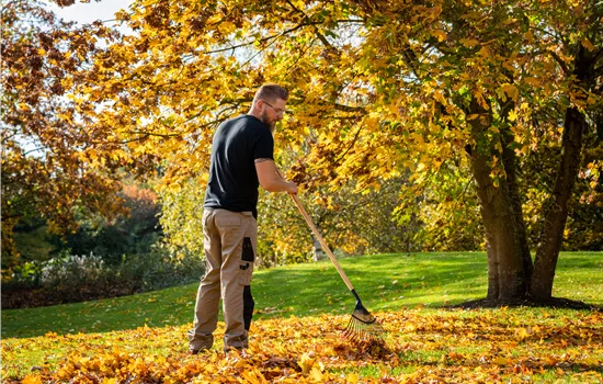 Gartenarbeit im September: Der Herbst beginnt mit bunten Farben Gartenarbeit im September: Der Herbst beginnt mit bunten Farben