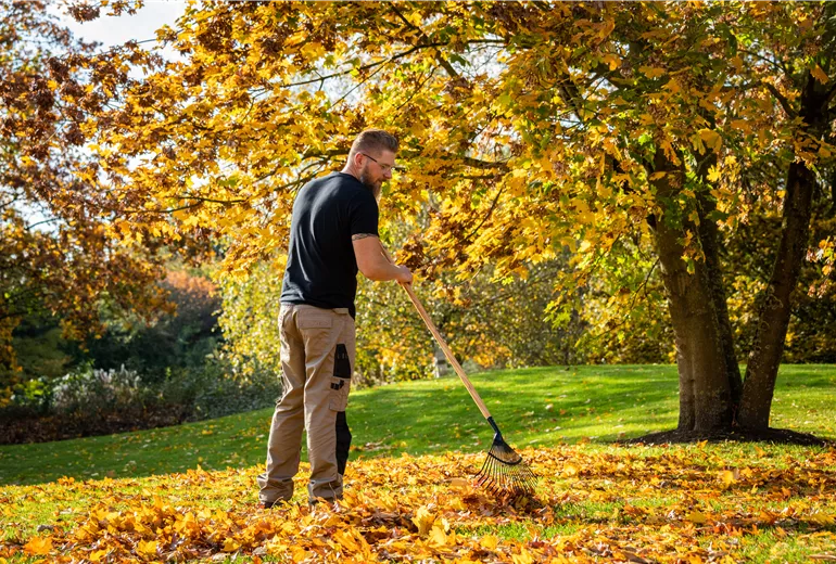 Gartengeräte - Mann harkt Laub Gartengeräte - Mann harkt Laub
