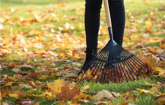 Gartenarbeit im Oktober - Letzte Vorbereitungen vor dem Winter Gartenarbeit im Oktober - Letzte Vorbereitungen vor dem Winter