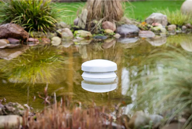 Frostschutz - Eisfreihalter im Teich Frostschutz - Eisfreihalter im Teich