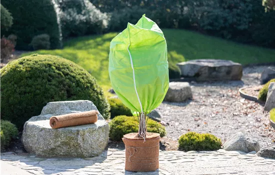 Gartenarbeit im Dezember – Hier ist mehr los als gedacht Gartenarbeit im Dezember – Hier ist mehr los als gedacht