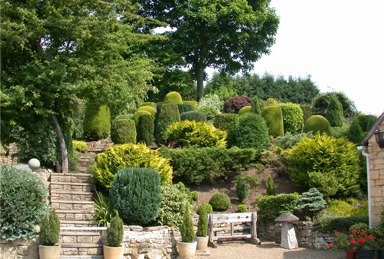 Terrassengarten mit Koniferen