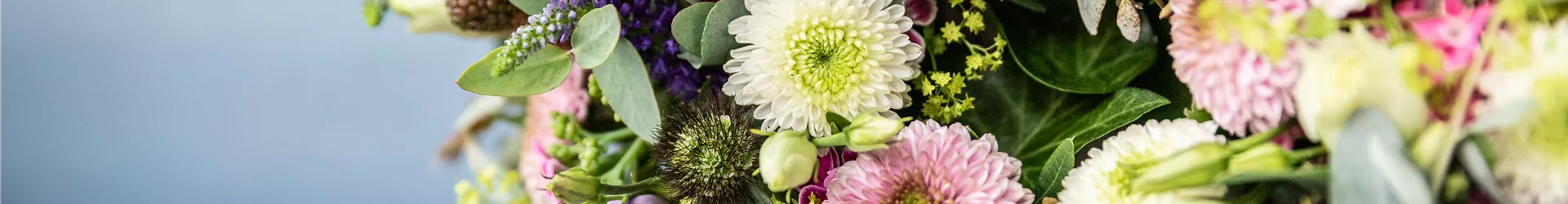 Blumenkranz Blumenkranz
