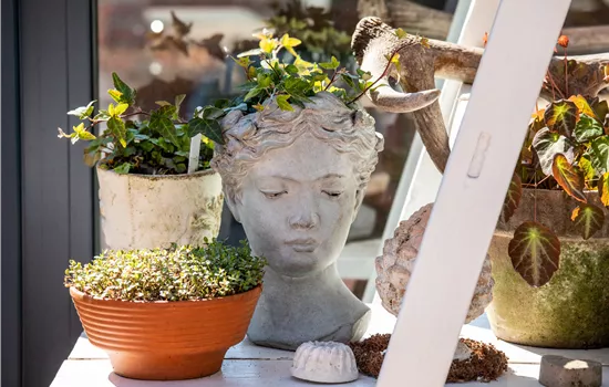 Einen Topfgarten anlegen - Viel Pflanzen und wenig Platz Einen Topfgarten anlegen - Viel Pflanzen und wenig Platz