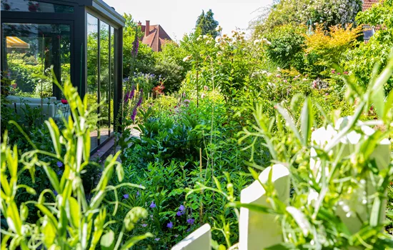Gartenarbeit im August: Tipps und Tricks für einen bunten Sommer Gartenarbeit im August: Tipps und Tricks für einen bunten Sommer