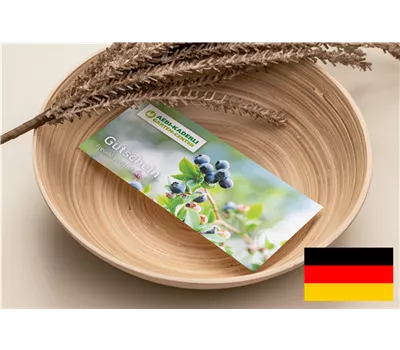 Online Gutschein Deutsch Online Gutschein Deutsch