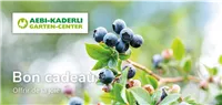 Bons d'achat français