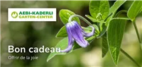 Bons d'achat français